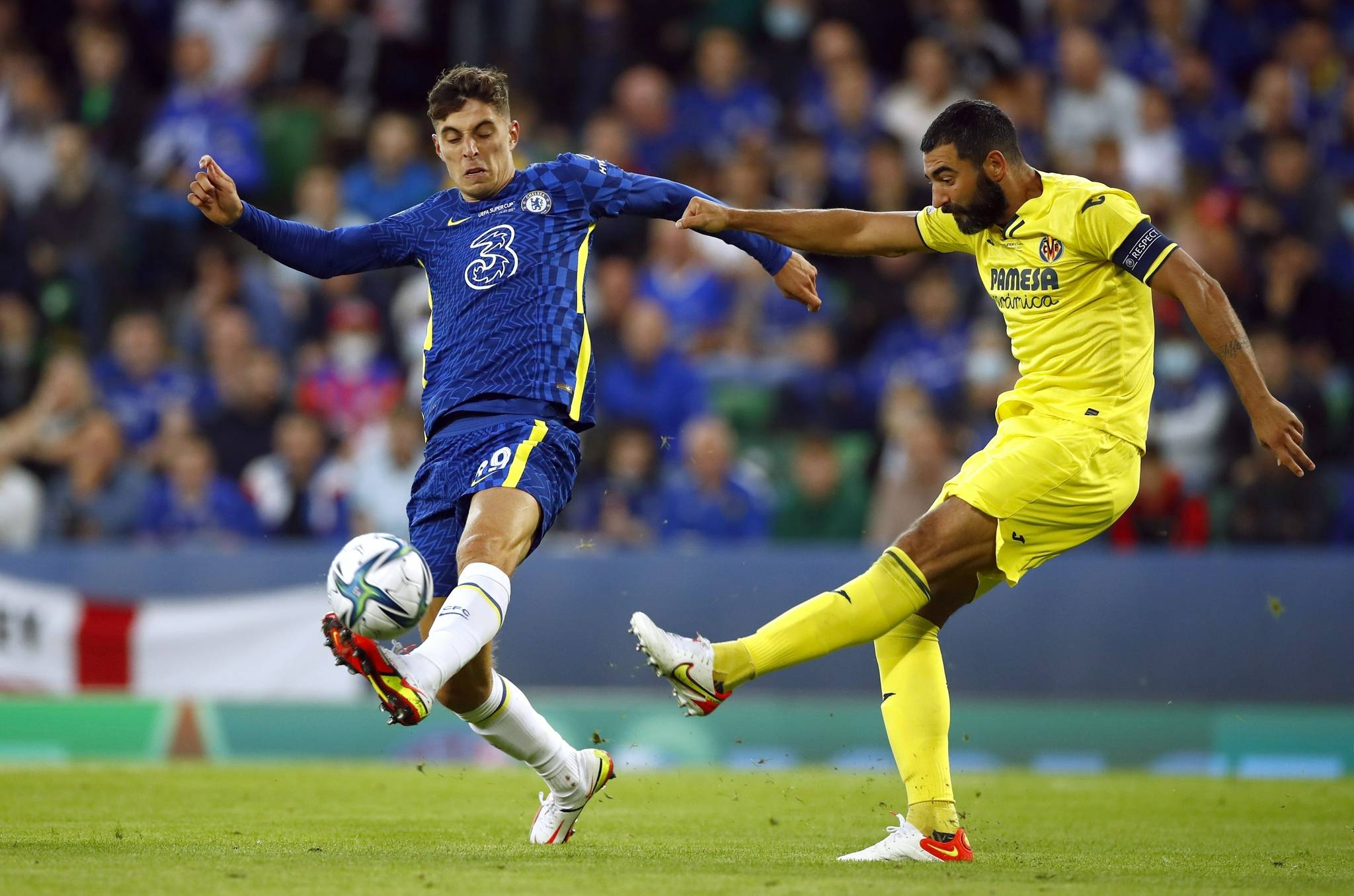 供了研究和 供了研究和